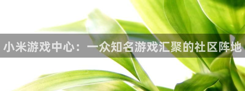 杏悦娱乐是什么平台播放：小米游戏中心：一众知名游戏汇聚的社区