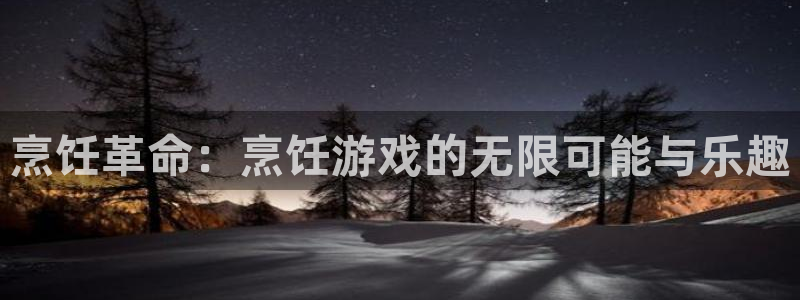 杏悦娱乐注册账号：烹饪革命：烹饪游戏的无限可能与乐趣