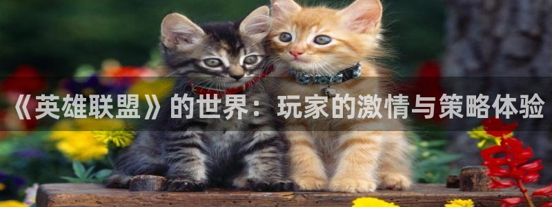 杏悦娱乐登录注册