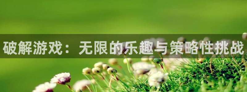 杏悦娱乐是什么app：破解游戏：无限的乐趣与策略性挑战