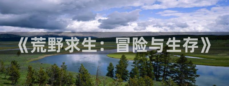杏悦娱乐是什么