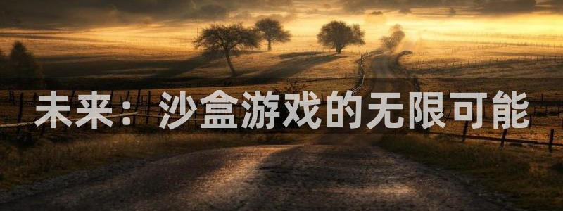 杏悦娱乐注册地址在哪里：未来：沙盒游戏的无限可能
