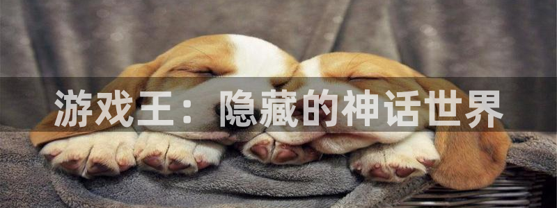 杏悦娱乐账号：游戏王：隐藏的神话世界