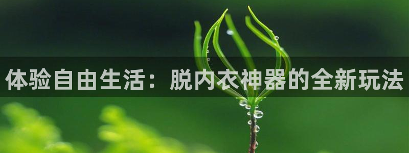 杏悦娱乐是什么平台公司：体验自由生活：脱内衣神器的全新玩法
