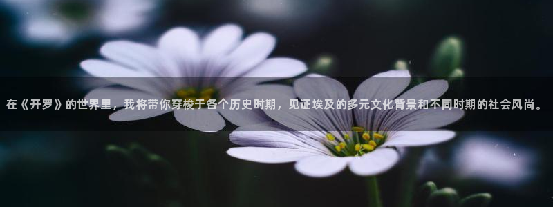 杏悦娱乐代理日最新版本更新内容