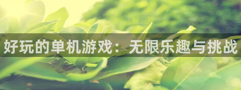 杏悦娱乐是什么平台公司：好玩的单机游戏：无限乐趣与挑战