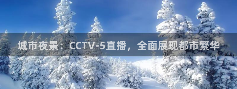 黑白直播体育app官网：城市夜景：CCTV-5直播，全面展现都市繁华