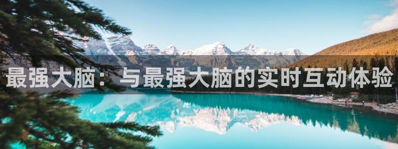 黑白体育直播官网：最强大脑：与最强大脑的实时互动体验