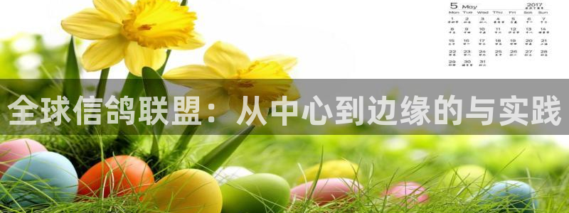 黑白体育电视直播app