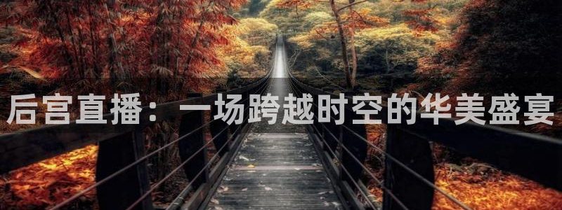 黑白视频nba直播：后宫直播：一场跨越时空的华美盛宴