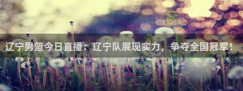黑白体育直播赛事：辽宁男篮今日直播：辽宁队展现实力，争夺全国冠军！