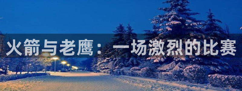黑白nba免费直播：火箭与老鹰：一场激烈的比赛