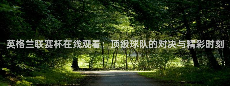 黑白直播 足球：英格兰联赛杯在线观看：顶级球队的对决与精彩时刻